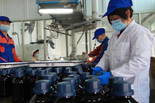 光華科技榮獲“全國石油和化學工業(yè)先進集體”稱號，彰顯化工技術(shù)創(chuàng)新硬實力
