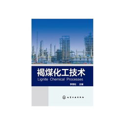 褐煤化工技術(shù)與計算機軟件技術(shù)開發(fā)的融合創(chuàng)新