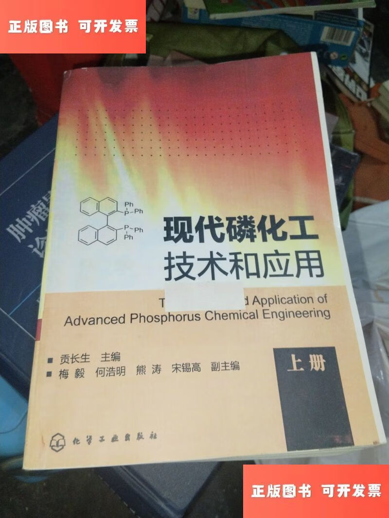 現(xiàn)代磷化工技術(shù)與計算機軟件開發(fā) 跨學科創(chuàng)新與應用展望